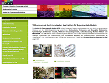 Tablet Screenshot of iem.uni-kiel.de